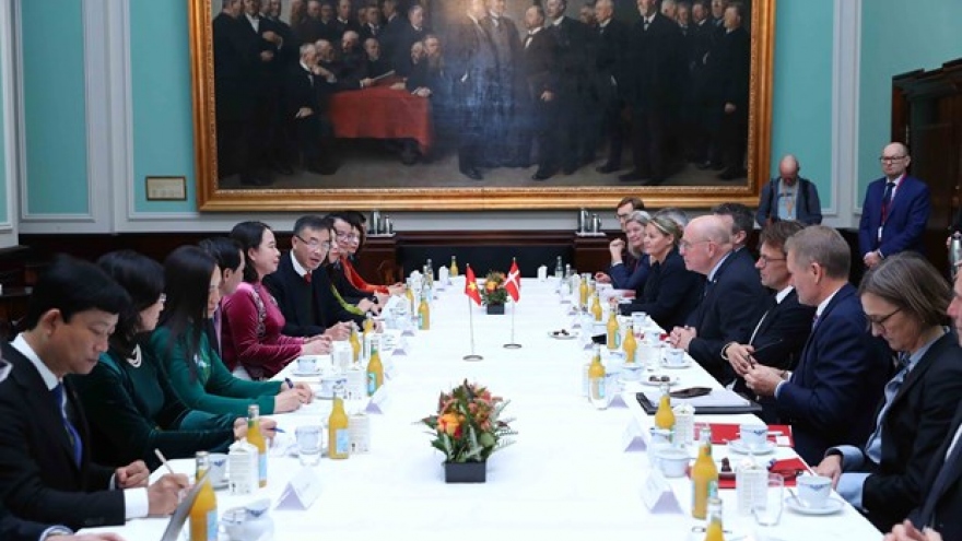 Vice President Xuan meets with Speaker of Danish Parliament